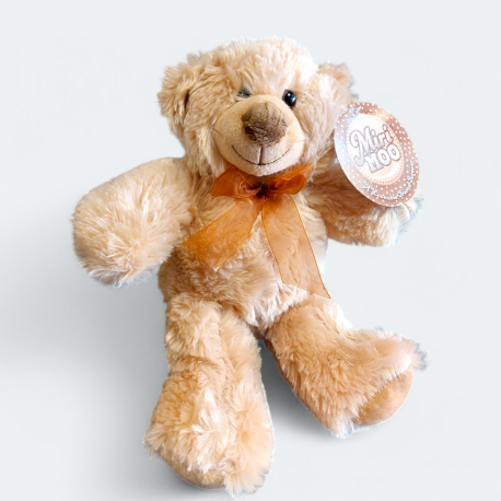 Soft Toy Bear