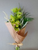 Green Orchid Gift
