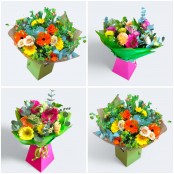 Crazy Daisy Gerbera Bouquet