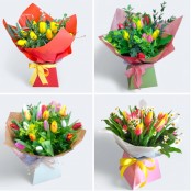 Spring Tulips