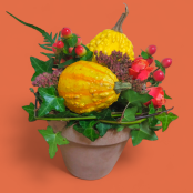 Halloween Mini Arrangement